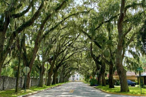 Land in Saint Augustine, Florida № 850915 - photo 24