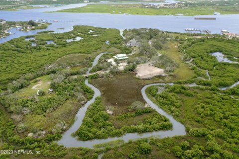 Land in Saint Augustine, Florida № 850915 - photo 19