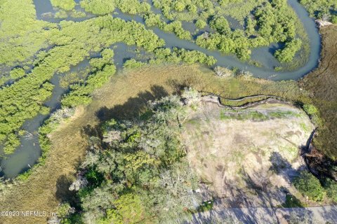 Land in Saint Augustine, Florida № 850915 - photo 1