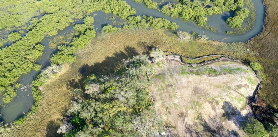 Terrain à Saint Augustine, Floride № 850915