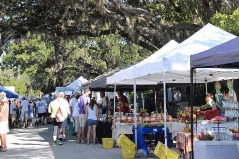 Land in Saint Augustine, Florida № 850915 - photo 28