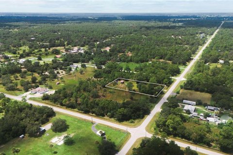 Land in Clewiston, Florida № 1356354 - photo 7