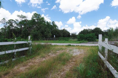 Land in Clewiston, Florida № 1356354 - photo 12