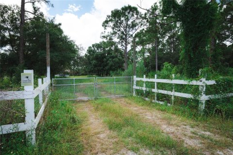 Land in Clewiston, Florida № 1356354 - photo 11