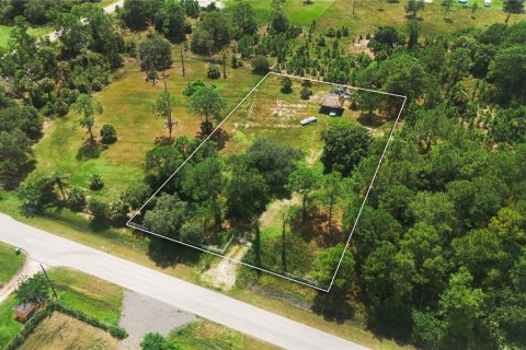 Terreno en venta en Clewiston, Florida № 1356354 - foto 1