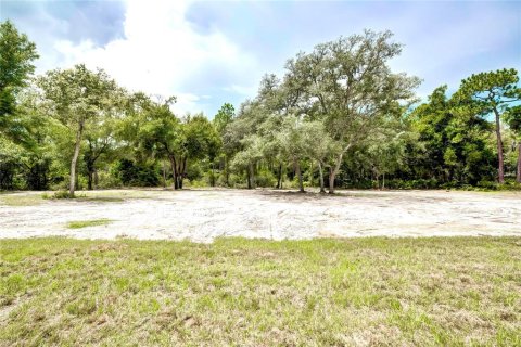 Villa ou maison à vendre à Webster, Floride: 4 chambres, 218.41 m2 № 1324467 - photo 12