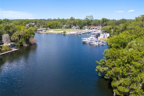 Terreno en venta en Yankeetown, Florida № 1290095 - foto 26