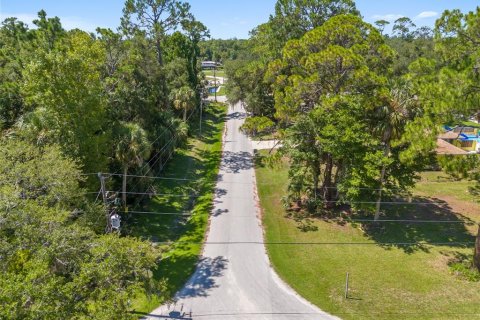 Land in Yankeetown, Florida № 1290095 - photo 20