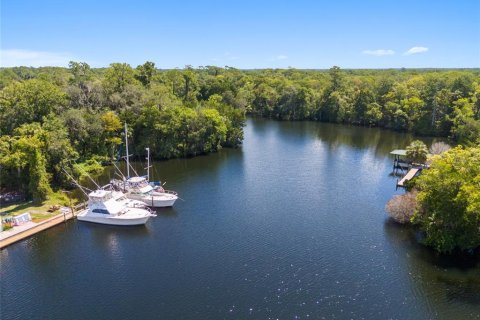 Terreno en venta en Yankeetown, Florida № 1290095 - foto 5