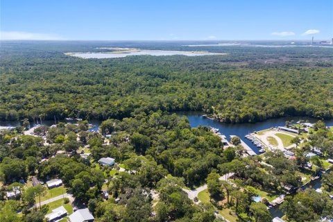 Land in Yankeetown, Florida № 1290095 - photo 6