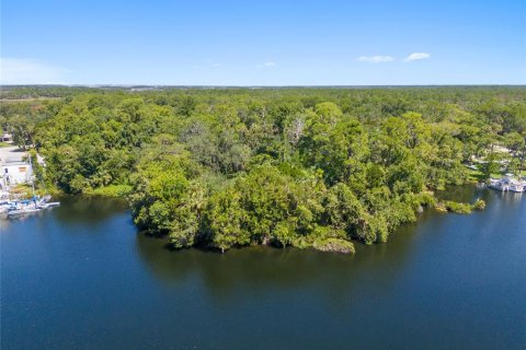 Land in Yankeetown, Florida № 1290095 - photo 27