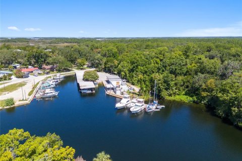 Terreno en venta en Yankeetown, Florida № 1290095 - foto 25