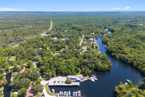 Terreno en venta en Yankeetown, Florida № 1290095 - foto 4