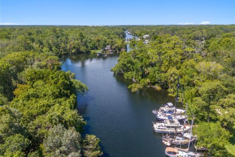 Land in Yankeetown, Florida № 1290095 - photo 29