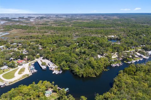 Terreno en venta en Yankeetown, Florida № 1290095 - foto 9