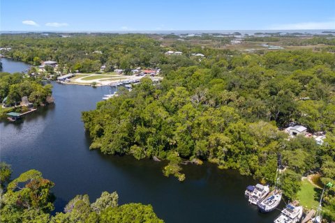 Terreno en venta en Yankeetown, Florida № 1290095 - foto 30