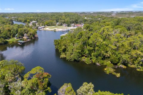 Land in Yankeetown, Florida № 1290095 - photo 28