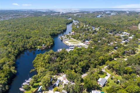 Land in Yankeetown, Florida № 1290095 - photo 12