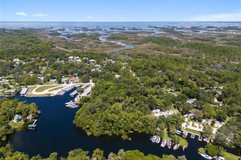 Terreno en venta en Yankeetown, Florida № 1290095 - foto 10