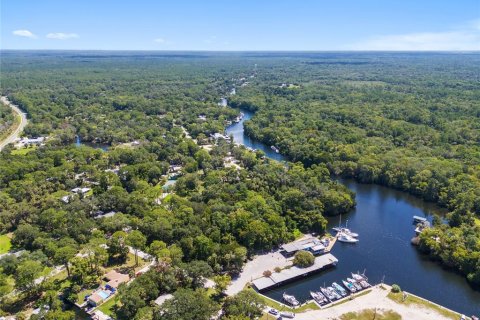 Terreno en venta en Yankeetown, Florida № 1290095 - foto 8