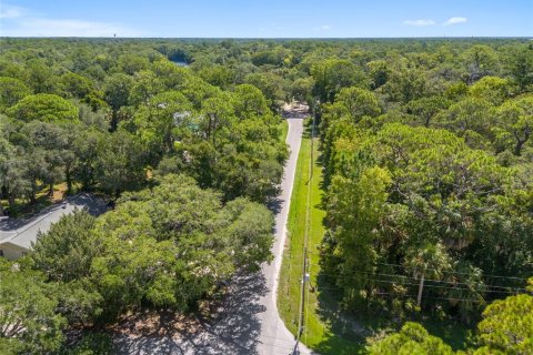 Land in Yankeetown, Florida № 1290095 - photo 19