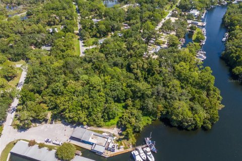 Land in Yankeetown, Florida № 1290095 - photo 18