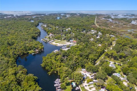 Terreno en venta en Yankeetown, Florida № 1290095 - foto 11