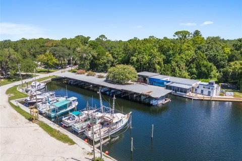 Terreno en venta en Yankeetown, Florida № 1290095 - foto 24