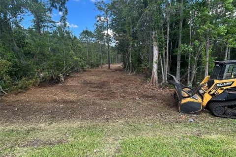 Terreno en venta en Saint Cloud, Florida № 1369657 - foto 7