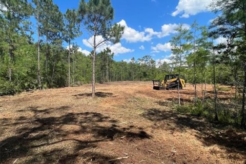 Terreno en venta en Saint Cloud, Florida № 1369657 - foto 8