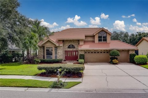 Villa ou maison à vendre à Safety Harbor, Floride: 4 chambres, 279.82 m2 № 1352787 - photo 1