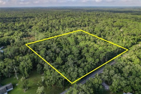 Terreno en venta en Webster, Florida № 1352794 - foto 6