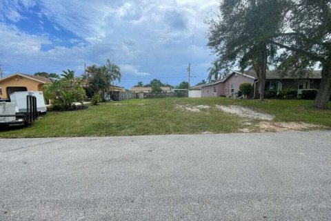 Купить земельный участок в Бойнтон-Бич, Флорида № 832954 - фото 4