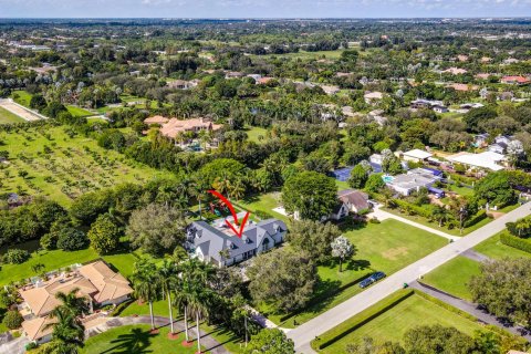 Villa ou maison à vendre à Davie, Floride: 5 chambres, 599.13 m2 № 1173143 - photo 7