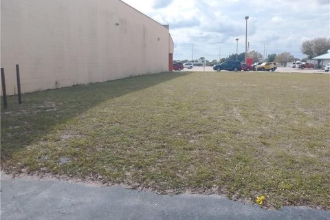 Propiedad comercial en venta en Lake Placid, Florida № 1218372 - foto 3