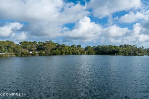 Land in Saint Augustine, Florida № 855314 - photo 7