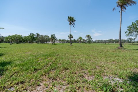 Купить земельный участок в Окичоби, Флорида № 730842 - фото 1