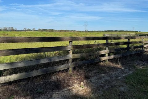 Land in Summerfield, Florida № 1396477 - photo 1