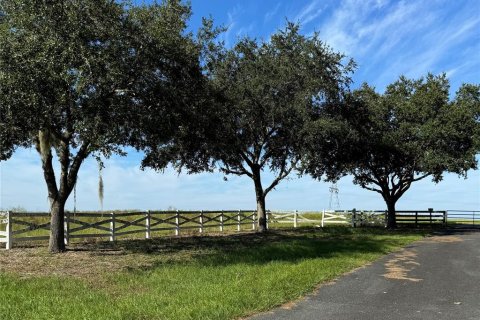 Land in Summerfield, Florida № 1396479 - photo 1