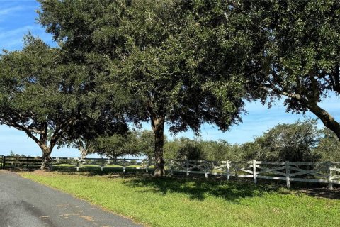 Land in Summerfield, Florida № 1396478 - photo 1