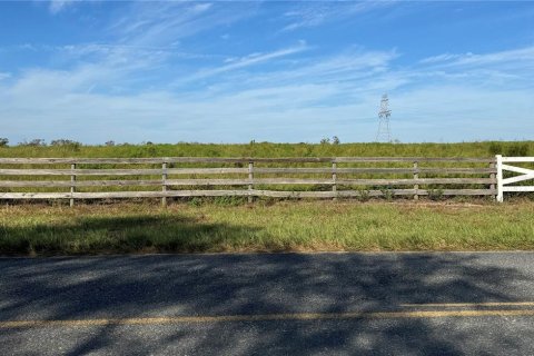 Land in Summerfield, Florida № 1396476 - photo 1