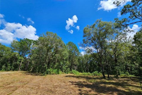 Terrain à vendre à Bunnell, Floride № 1341289 - photo 6