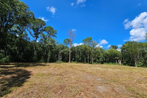 Terrain à vendre à Bunnell, Floride № 1341289 - photo 1