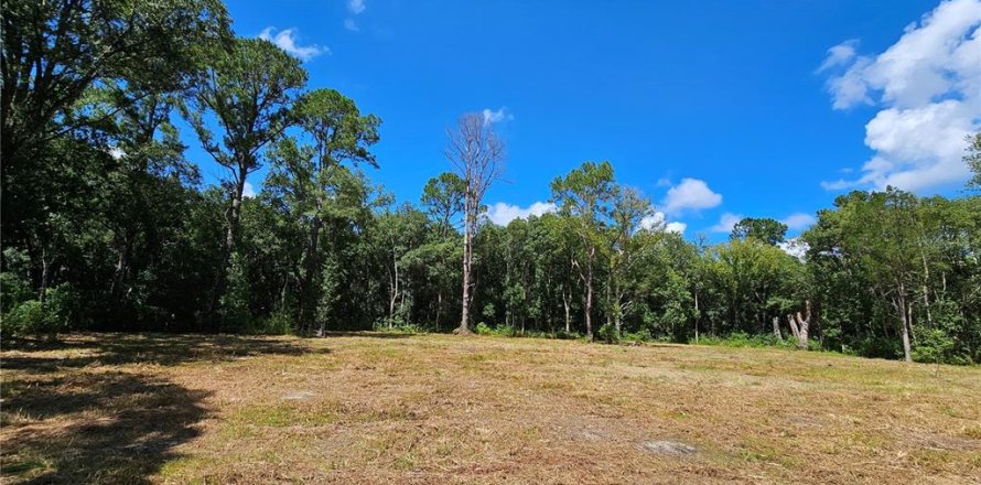 Terrain à Bunnell, Floride № 1341289