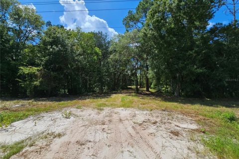 Terrain à vendre à Bunnell, Floride № 1341289 - photo 9