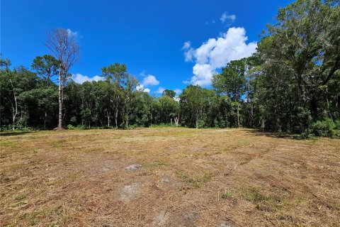 Terrain à vendre à Bunnell, Floride № 1341289 - photo 4