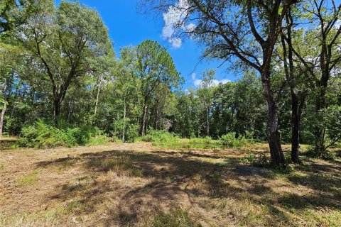 Terrain à vendre à Bunnell, Floride № 1341289 - photo 2