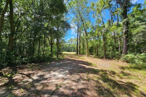 Land in Bunnell, Florida № 1341289 - photo 7