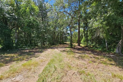 Terrain à vendre à Bunnell, Floride № 1341289 - photo 8