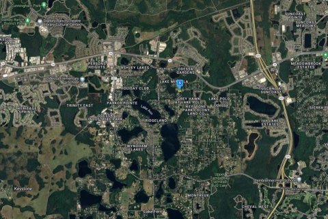 Land in Odessa, Florida № 1346693 - photo 5